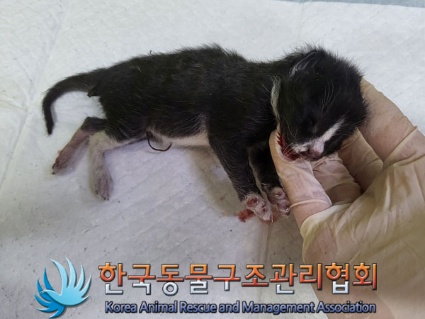 종료(자연사) 한국…